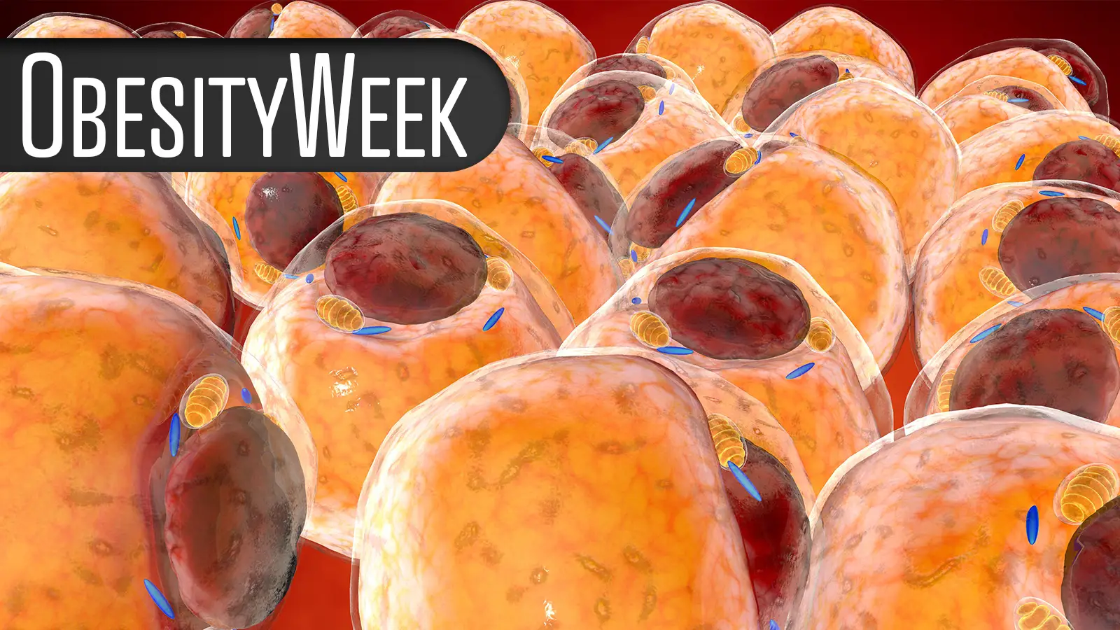 Some Patients Can Maintain Health Gains After Reducing GLP-1 Dose Frequency