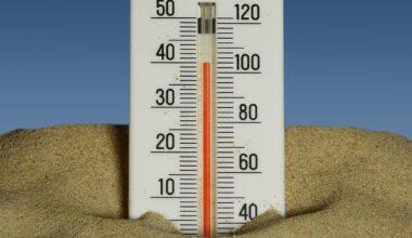 AI can now forecast European heatwaves weeks in advance. Here’s how it works