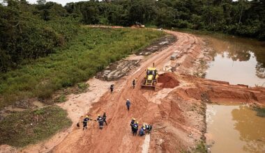 Fact check: Did Brazil chop down 100,000 trees for COP30?