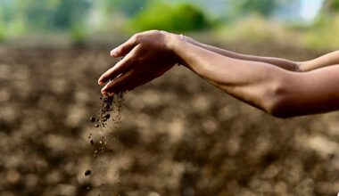 The secret to tackling the climate crisis could be right under our feet. Here’s why