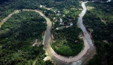 COP30: Could Brazil’s ambitious new ‘Tropical Forests Forever’ fund help curb deforestation?