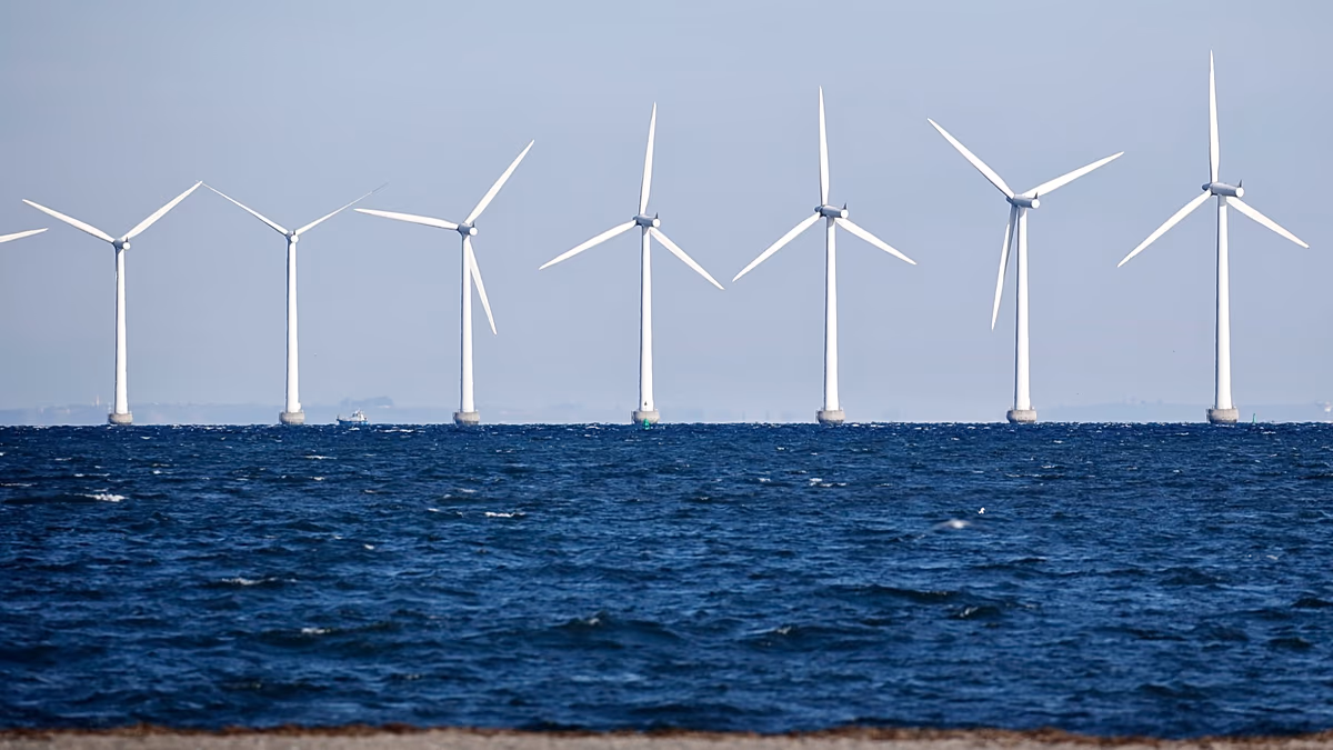 Denmark tops ranking of most ambitious countries on climate with 85% emission reduction target