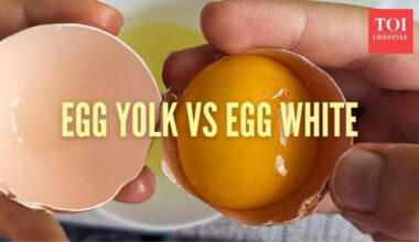 Which egg part has more protein and nutrition