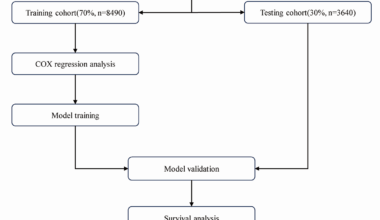 Development and validation of a predictive model for survival outcomes in patients with paroxysmal versus persistent atrial fibrillation: a retrospective cohort study based on the MIMIC-IV database | BMC Cardiovascular Disorders