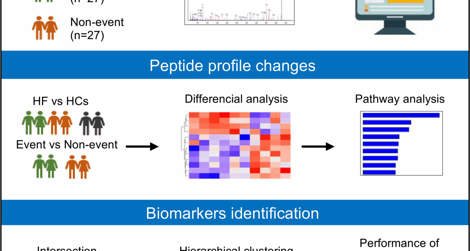 Serum peptidomics profiling reveals fibrinogen alpha chain-derived peptides associated with clinical outcome in patients with heart failure | BMC Cardiovascular Disorders