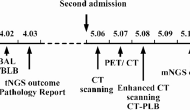 Bilateral pulmonary cavitary mucinous adenocarcinoma in an immunocompetent patient: a case report and literature review | BMC Pulmonary Medicine