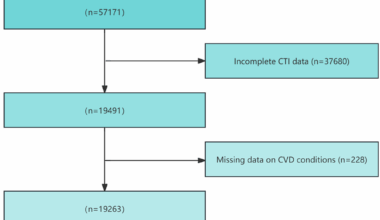 Relationship between C-reactive protein triglyceride glucose index and cardiovascular disease risk: a cross-sectional analysis with machine learning | BMC Medical Informatics and Decision Making