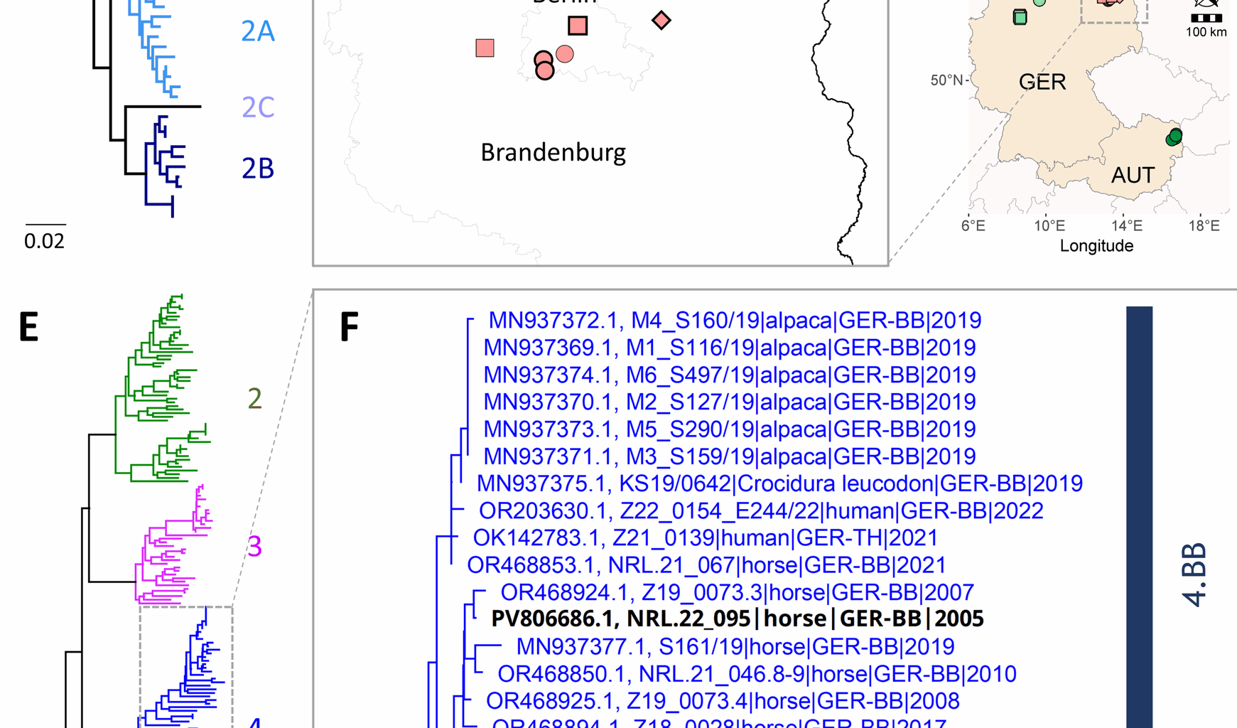 Spillover infections by rustrela virus, borna disease virus 1 and tick-borne encephalitis virus revealed by retrospective screening of mammalian encephalitis of unknown origin | BMC Veterinary Research
