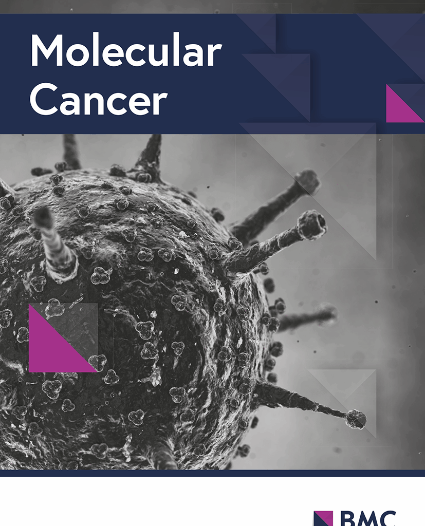 RHOA lactylation at oncogenic hotspots promotes oncogenic activity and protein stabilization | Molecular Cancer