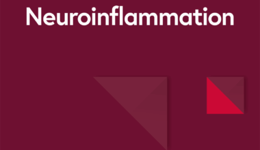 The heme-binding protein hemopexin promotes functional recovery and tissue protection after spinal cord injury via sex-specific regulation of inflammation and ferroptosis | Journal of Neuroinflammation