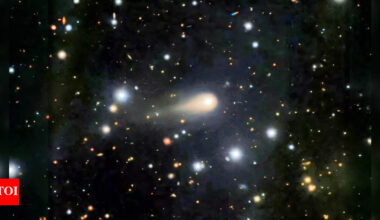 Elon Musk and Joe Rogan talk about alien object 3I/ATLAS aiming at Earth that Harvard scientist say is 'not natural', and the link to The Tunguska Event