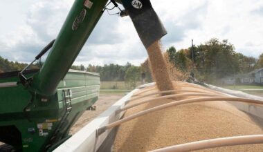 China finds leverage over Trump in trade talks with soybeans boycott