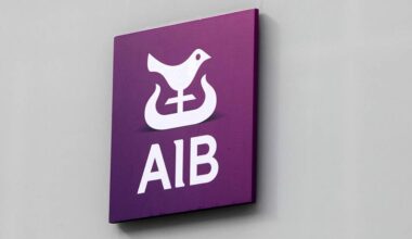 Why is the Government selling its stakes in Irish banks?