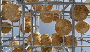 From Concrete to Cultivation: How AI and Robotics Are Rewriting Architecture’s Material Logic