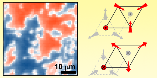Shining Light on Antiferromagnets