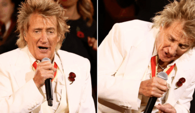 Sir Rod Stewart, 80, fans fiercely defend singer as he faces fury for 'inappropriate' Remembrance Festival performance