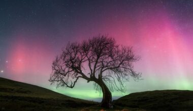 16 States Suddenly On Aurora Alert Sunday As Sun Unleashes X-Flare