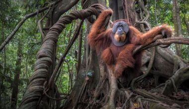3 ‘Laugh Out Loud’ Pics From 2025’s Nature’s Best Photography Contest
