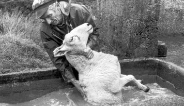 ‘Brown up to the elbow’ – farmers face a reckoning over pesticide exposure and Parkinson’s Disease