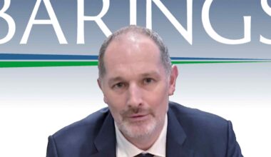 Diversification trend could give private credit steady growth, Barings says