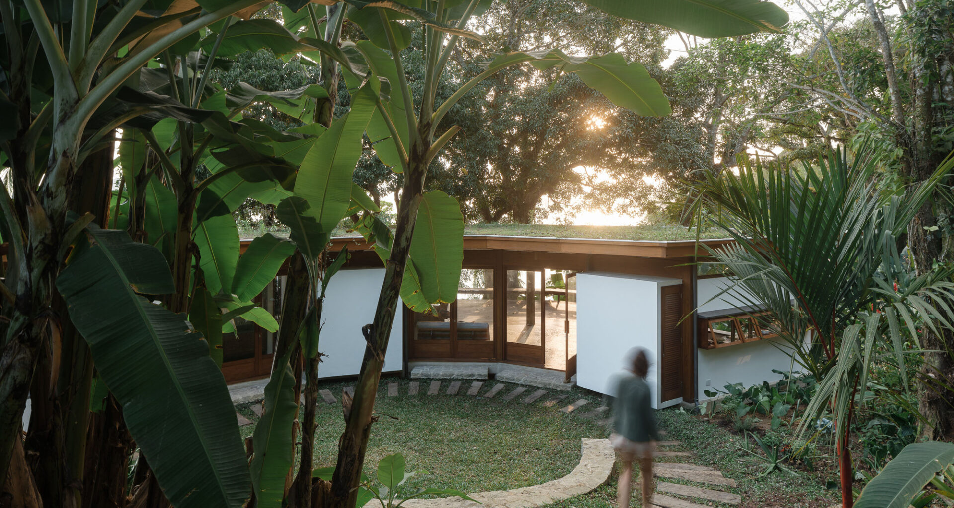 Fig Tree House / Estúdio Lava