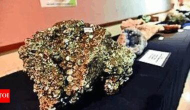 Cabinet revises royalty for four critical minerals to boost mining | India News