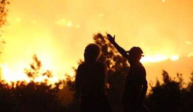 Global Energy Report Offers Choice for Humanity: Renewable Transition or 'Dystopian Future' Pushed by Trump