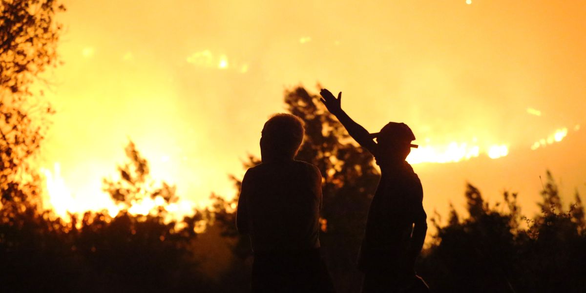 Global Energy Report Offers Choice for Humanity: Renewable Transition or 'Dystopian Future' Pushed by Trump