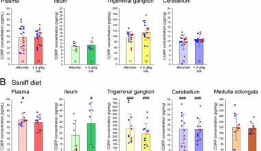 Histamine plasma levels from dietary histidine/histamine intake correlate with CGRP in trigeminal tissues | The Journal of Headache and Pain