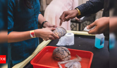 In Bengaluru, conversations on mental health find a home | Events Movie News