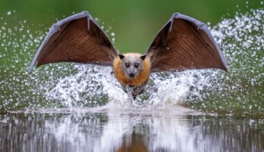 The Best Close-Up Photography Of 2025 In 21 Photos