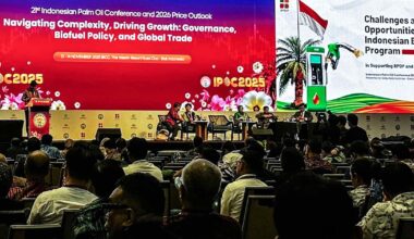 Palm oil prices to spike in 2026 as Indonesia pushes biofuel policy