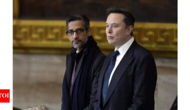 Elon Musk calls Google's $40 billion Texas investment ‘mind-blowing’, CEO Sundar Pichai responds: ‘Between abundant sand, plenty of sun and space..’