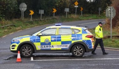 Fatal Louth crash leaves Meath village in shock at deaths of young people – The Irish Times