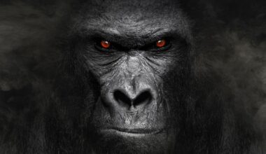 US Healthcare’s Biggest Problem: Overlooking The $5T Gorilla