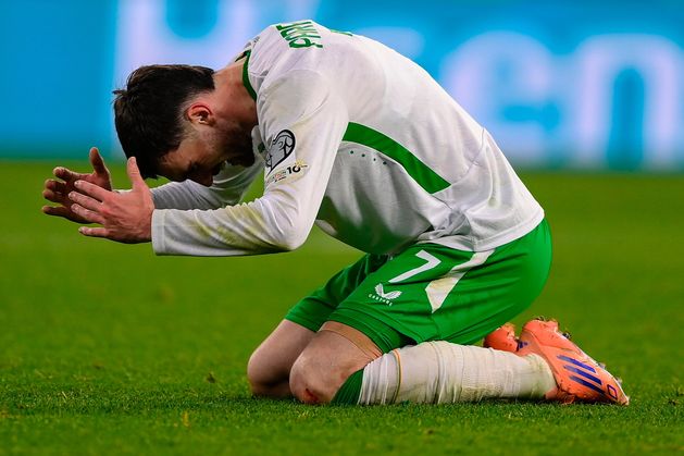 Ireland's Troy Parrot - Conor McKeon: Troy’s story has rekindled an old love affair for the disconnected