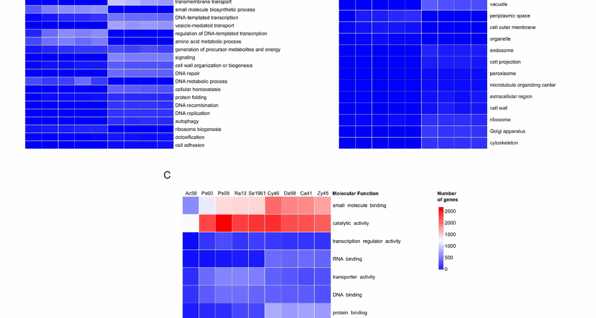 Comparative genomics of dominant members of the gut core microbiome of the bark beetle, Dendroctonus rhizophagus (Curculionidae: Scolytinae) reveals potential functional complementarity in the detoxification process | BMC Genomics