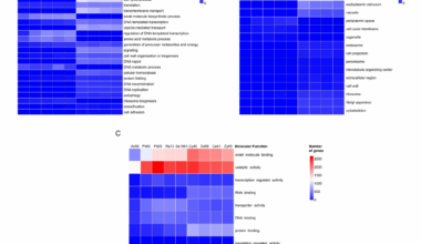 Comparative genomics of dominant members of the gut core microbiome of the bark beetle, Dendroctonus rhizophagus (Curculionidae: Scolytinae) reveals potential functional complementarity in the detoxification process | BMC Genomics