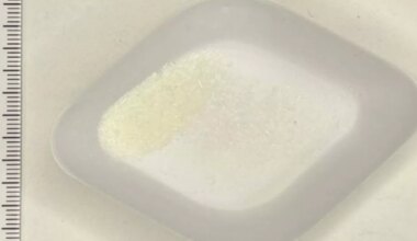 Manchester Evening News