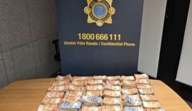 Gardaí seize almost €2m in cash from Russian crime network that laundered money for Kinahan cartel
