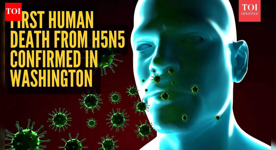 Washington man dies after H5N5 infection: What it is and prevention tips explained