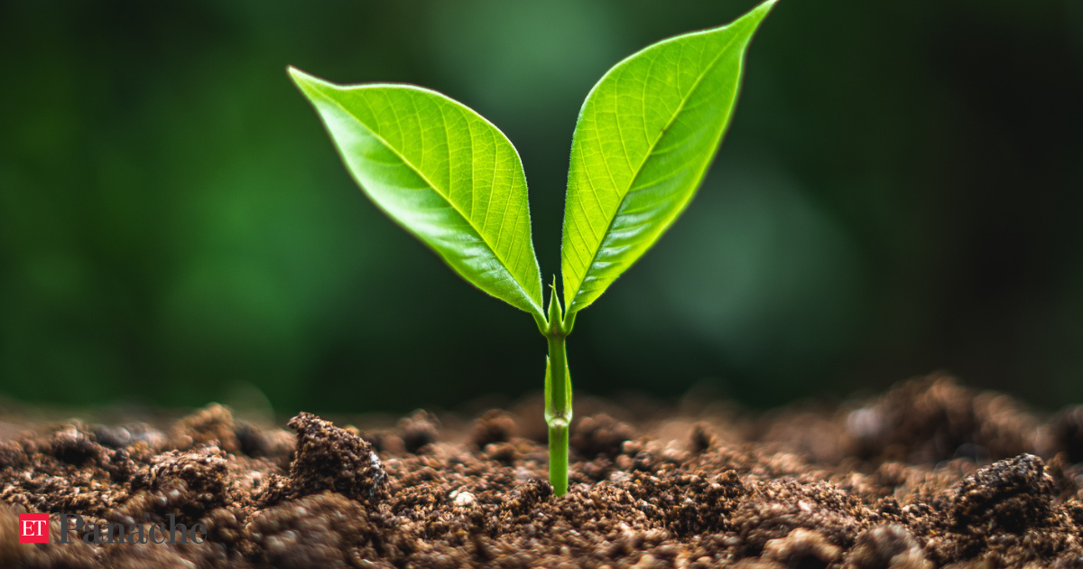 Secret behind life on Earth may be hiding right below us: Scientists reveal surprising clues from 1,800 miles beneath the surface