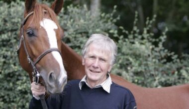 A Tipperary stud owner made four wills in three years. Now a court row looms over which one is valid and who is set to inherit his €3m farm