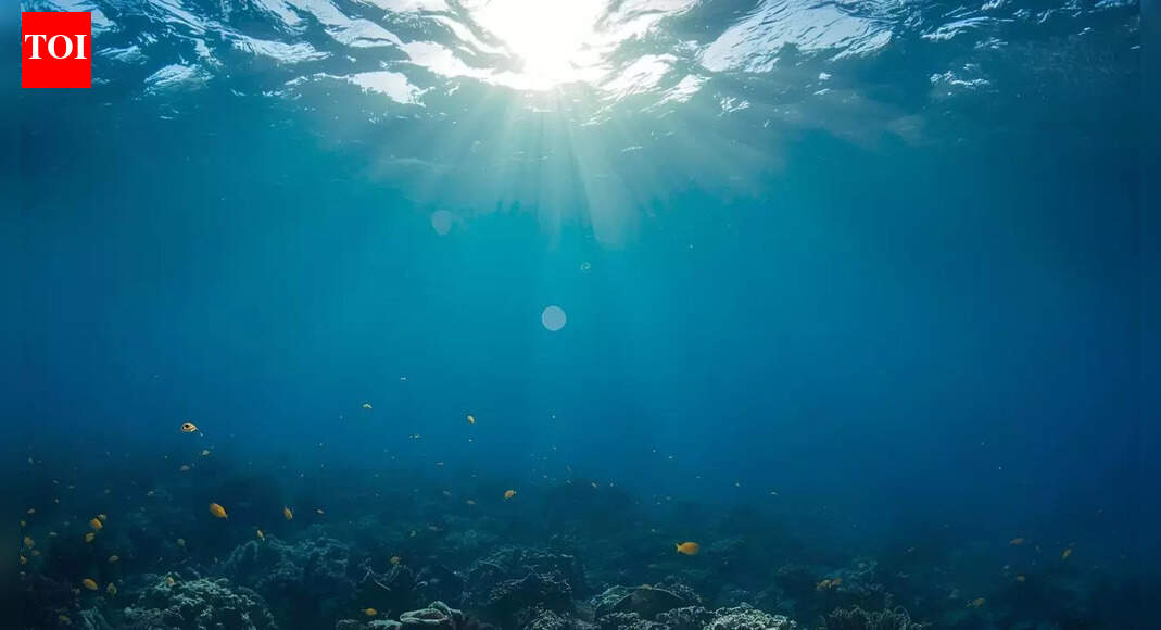 Mysterious structures under the Pacific: What scientists found beneath the ocean floor could reshape Earth's history |