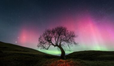 15 U.S. States On Aurora Alert Tuesday After Geomagnetic Storm Warning
