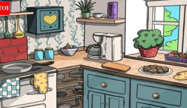 Optical Illusion: Only sharp eyes can spot the mouse hidden in the kitchen in under 25 seconds