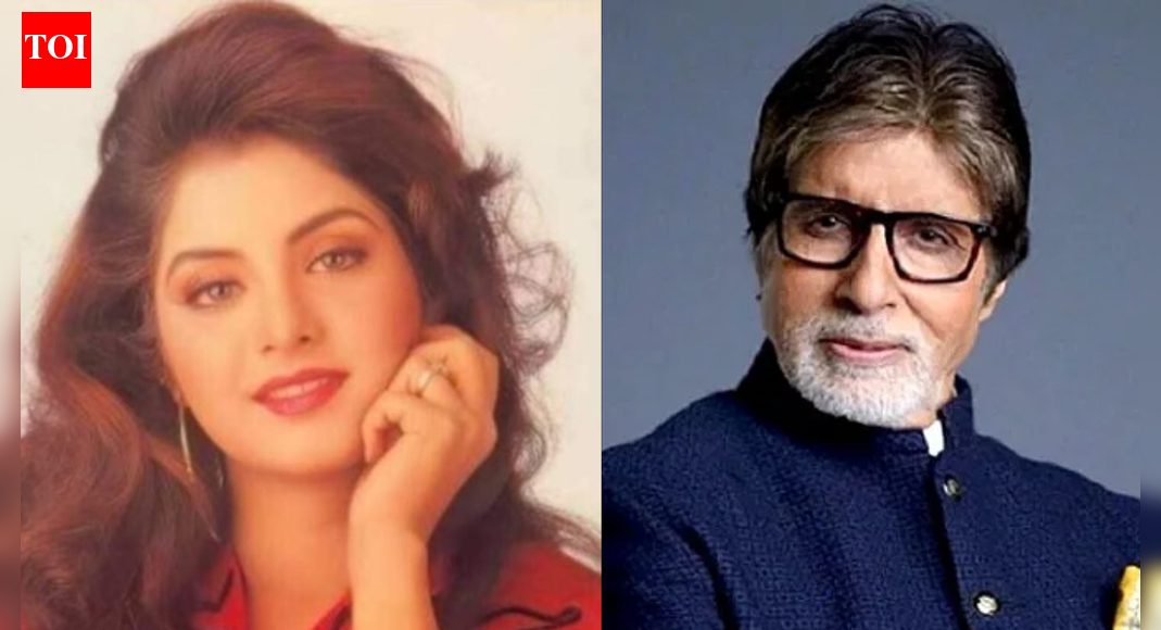 When Divya Bharti’s mum told her not to wash hands for ‘10 days’ after meeting Amitabh Bachchan: ‘Mere saath haath milaya….’ | Hindi Movie News