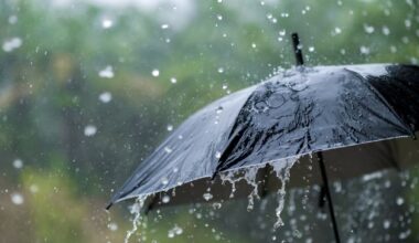 Status Yellow rain warning issued for two counties as Met Éireann predicts ‘generally unsettled’ week to come