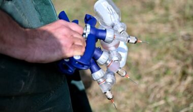 Suspected bluetongue outbreak in Co Down sparks 20km control zone and all-island alert