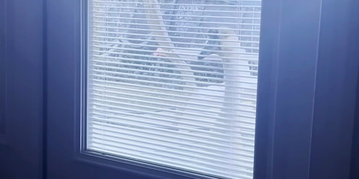 Goose Keeps Showing Up At Family's Door — Then They Finally Figure Out Why